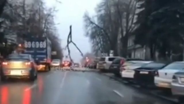 В Ставрополе большая ветка повисла на проводах над дорогой В Ставрополе большая ветка повисла на проводах над дорогой