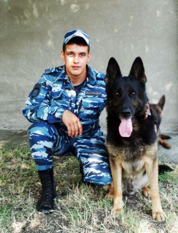 Служебная собака по кличке Аполлон помогла ставропольским оперативникам найти наркотики Служебная собака по кличке Аполлон помогла ставропольским оперативникам найти наркотики