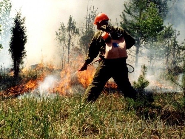 В некоторых районах Ставрополья 28-30 июня — высокая пожароопасность В некоторых районах Ставрополья 28-30 июня — высокая пожароопасность