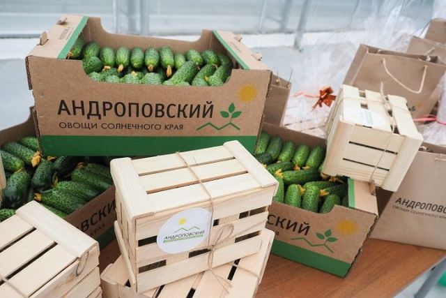 Благодаря открытию нового комплекса Ставрополье выйдет на первое место в стране по выращиванию тепличных овощей Благодаря открытию нового комплекса Ставрополье выйдет на первое место в стране по выращиванию тепличных овощей