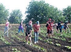 Свыше 6 тысяч ставропольских подростков будут трудоустроены на лето Свыше 6 тысяч ставропольских подростков будут трудоустроены на лето