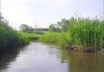 Вода в реке Ташла признана экстремально грязной Вода в реке Ташла признана экстремально грязной