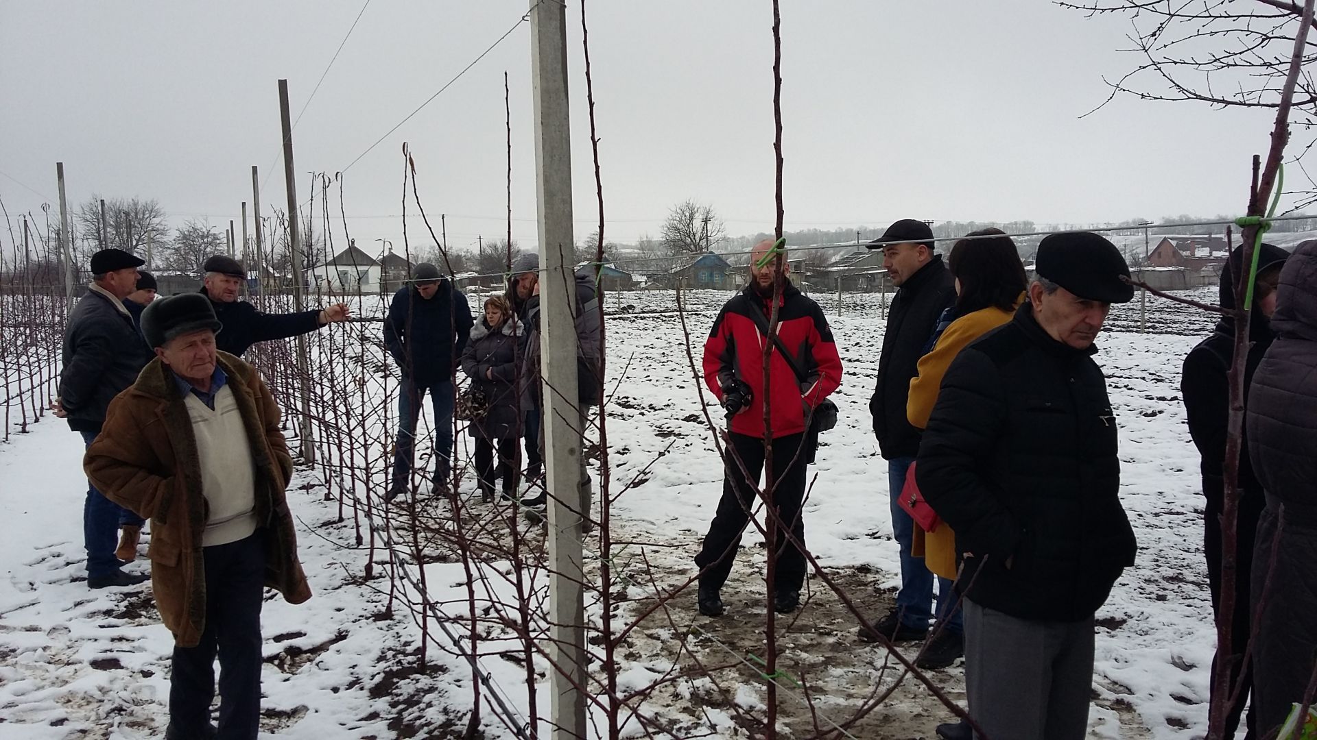 В Георгиевском округе продемонстрировали технологии суперинтенсивного садоводства В Георгиевском округе продемонстрировали технологии суперинтенсивного садоводства