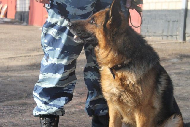 В Ставрополе оцепили здание на проспекте Карла Маркса В Ставрополе оцепили здание на проспекте Карла Маркса