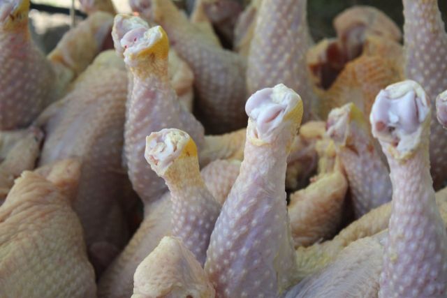 Сальмонеллы обнаружены в мясе птицы ставропольского производителя Сальмонеллы обнаружены в мясе птицы ставропольского производителя