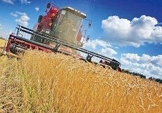 Владимиров предложил заморозить цены на горючее для агропредприятий Владимиров предложил заморозить цены на горючее для агропредприятий