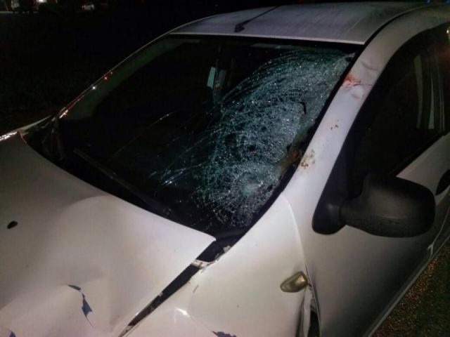 На трассе в Ставропольском крае иномарка насмерть сбила женщину На трассе в Ставропольском крае иномарка насмерть сбила женщину