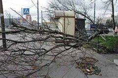 Сильный ветер повалил трубу котельной и повредил крышу поликлиники Сильный ветер повалил трубу котельной и повредил крышу поликлиники