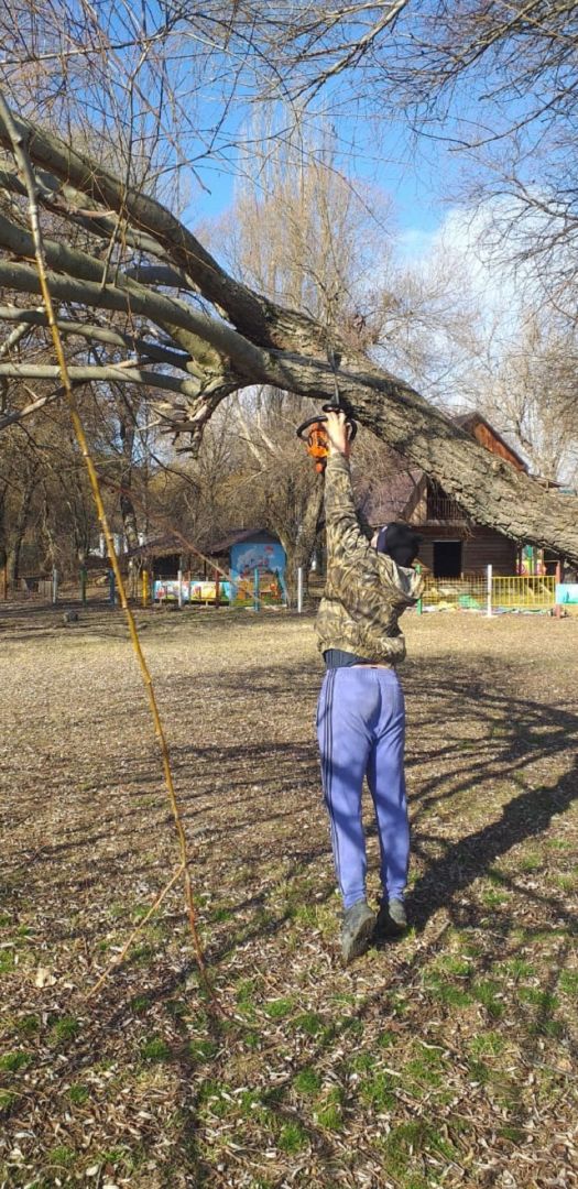В Ессентуках кронируют деревья и собирают сухостой В Ессентуках кронируют деревья и собирают сухостой