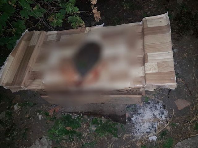 23-летняя жительница Ставрополья подозревается в убийстве своей новорождённой дочери 23-летняя жительница Ставрополья подозревается в убийстве своей новорождённой дочери