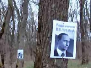 Роща имени В.В. Путина Роща имени В.В. Путина