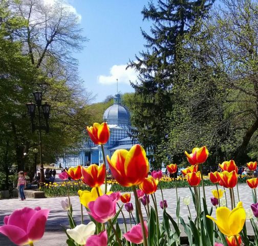 Железноводск готовится к возобновлению санаторно-курортной жизни Железноводск готовится к возобновлению санаторно-курортной жизни