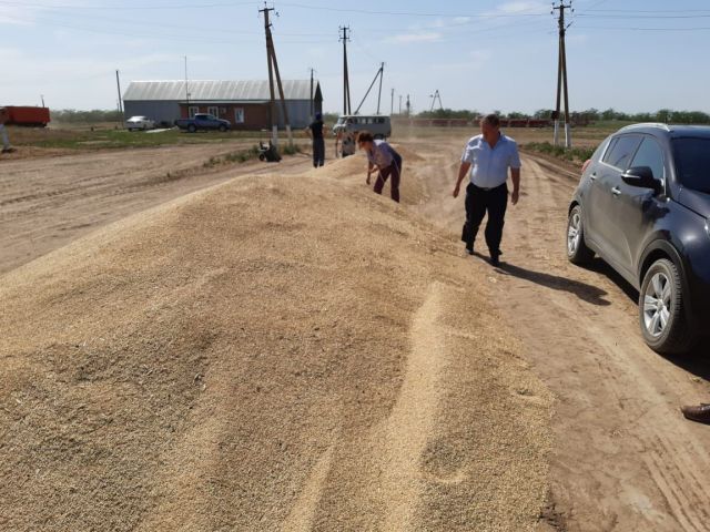 На Ставрополье стартовала уборочная кампания На Ставрополье стартовала уборочная кампания