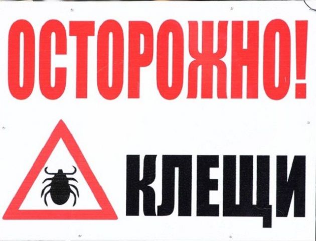 Ставропольские эпидемиологи советуют жителям края защитить себя от клещей Ставропольские эпидемиологи советуют жителям края защитить себя от клещей