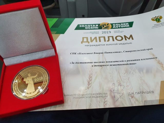37 медалей привёз Ставропольский край с выставки «Золотая осень» 37 медалей привёз Ставропольский край с выставки «Золотая осень»