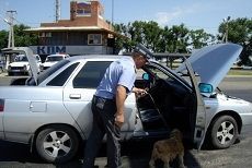 Полиция края переведена на усиленный вариант несения службы Полиция края переведена на усиленный вариант несения службы