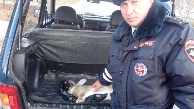 На Ставрополье продолжается операция «Охота» На Ставрополье продолжается операция «Охота»