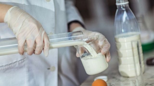 Молочный комбинат «Ставропольский» выпускал продукцию с антибиотиками Молочный комбинат «Ставропольский» выпускал продукцию с антибиотиками