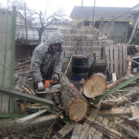 Порывы ветра сорвали в Ессентуках баннеры и повалили деревья Порывы ветра сорвали в Ессентуках баннеры и повалили деревья