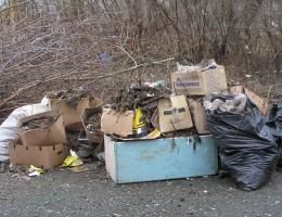 В Ставрополе за выходные ликвидировали более 60 свалок мусора В Ставрополе за выходные ликвидировали более 60 свалок мусора