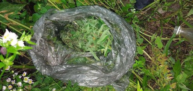 На Ставрополье полицейские пресекли деятельность наркопритона На Ставрополье полицейские пресекли деятельность наркопритона