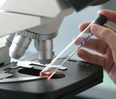 Свиной грипп H1N1 выявлен у четырёх ставропольцев Свиной грипп H1N1 выявлен у четырёх ставропольцев
