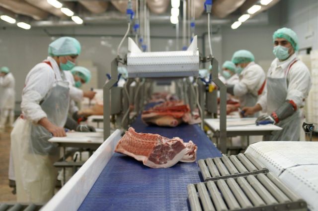 В Ставропольском крае открыли новое предприятие по переработке мяса В Ставропольском крае открыли новое предприятие по переработке мяса