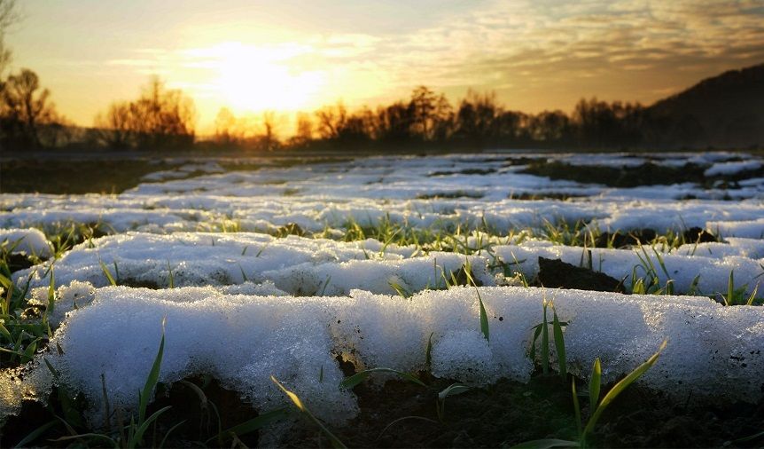 До 9 градусов тепла ожидается на Ставрополье к концу недели