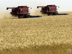 В крае внедряют программу инновационного развития АПК В крае внедряют программу инновационного развития АПК
