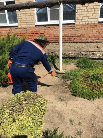 На Ставрополье шершни атаковали пожилую женщину На Ставрополье шершни атаковали пожилую женщину