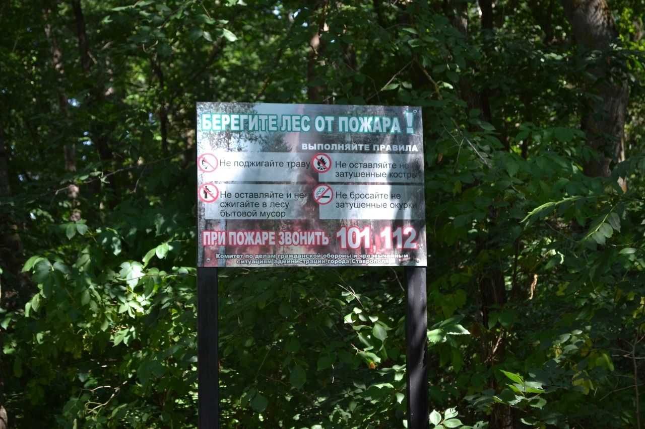 В Ставрополе снижают вероятность ландшафтных пожаров В Ставрополе снижают вероятность ландшафтных пожаров