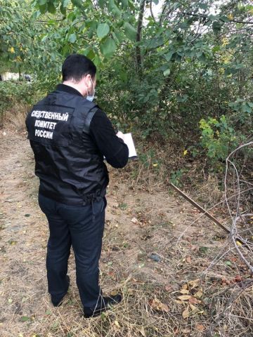 Следователи Ставрополья разыскивают свидетелей убийства младенца Следователи Ставрополья разыскивают свидетелей убийства младенца