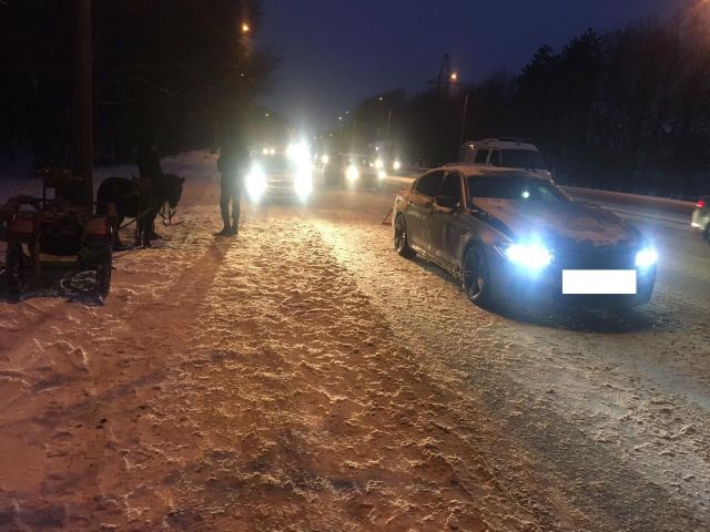В Ставрополе произошло ДТП с участием лошади В Ставрополе произошло ДТП с участием лошади