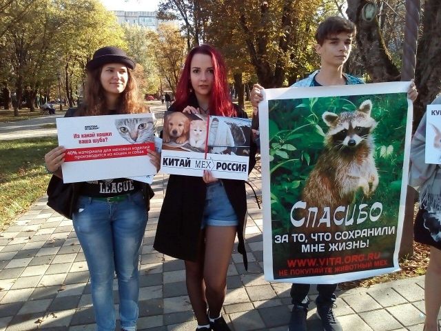 В Ставрополе активисты провели акцию «Животные не одежда» В Ставрополе активисты провели акцию «Животные не одежда»