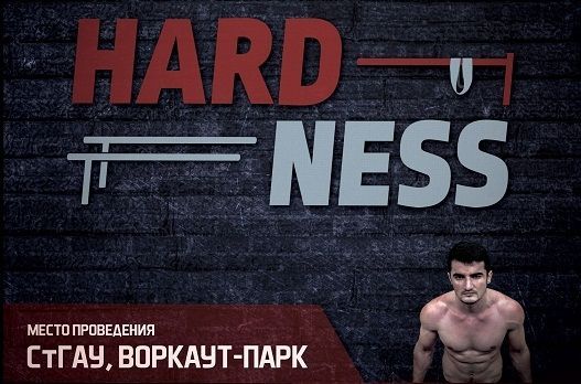 Всероссийский фестиваль по воркауту «Hardness» прошёл в Ставрополе Всероссийский фестиваль по воркауту «Hardness» прошёл в Ставрополе