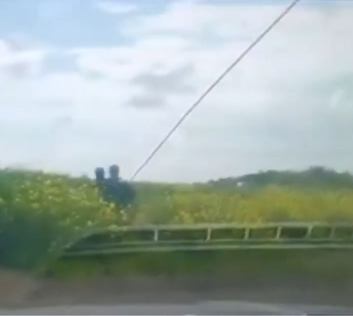 Водитель мопеда пытался скрыться от автоинспекторов в рапсовом поле на Ставрополье