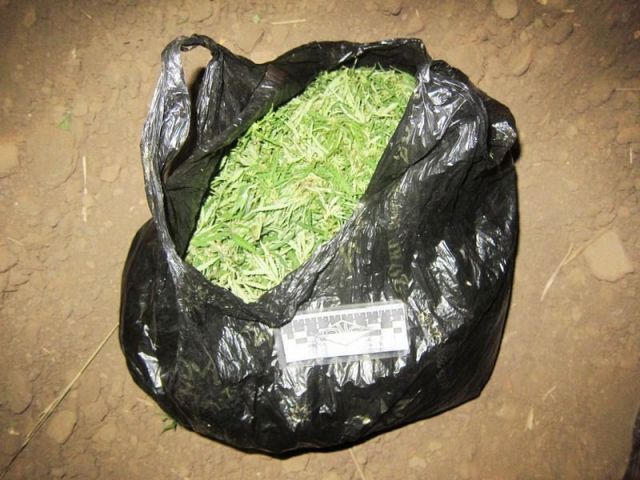 На Ставрополье полицейские нашли у мужчины два килограмма марихуаны На Ставрополье полицейские нашли у мужчины два килограмма марихуаны