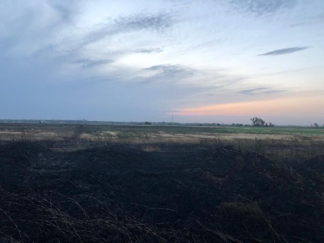 В Ставропольском крае горело ячменное поле В Ставропольском крае горело ячменное поле