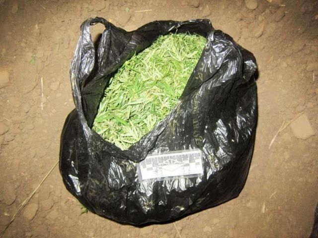 В Арзгирском районе изъята крупная партия марихуаны В Арзгирском районе изъята крупная партия марихуаны