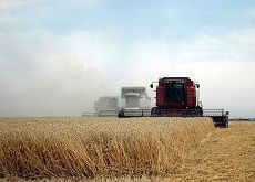 На Cтаврополье новое дыхание получила программа развития фермерства На Cтаврополье новое дыхание получила программа развития фермерства