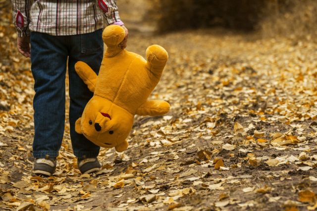 На Ставрополье пропал 12-летний мальчик На Ставрополье пропал 12-летний мальчик
