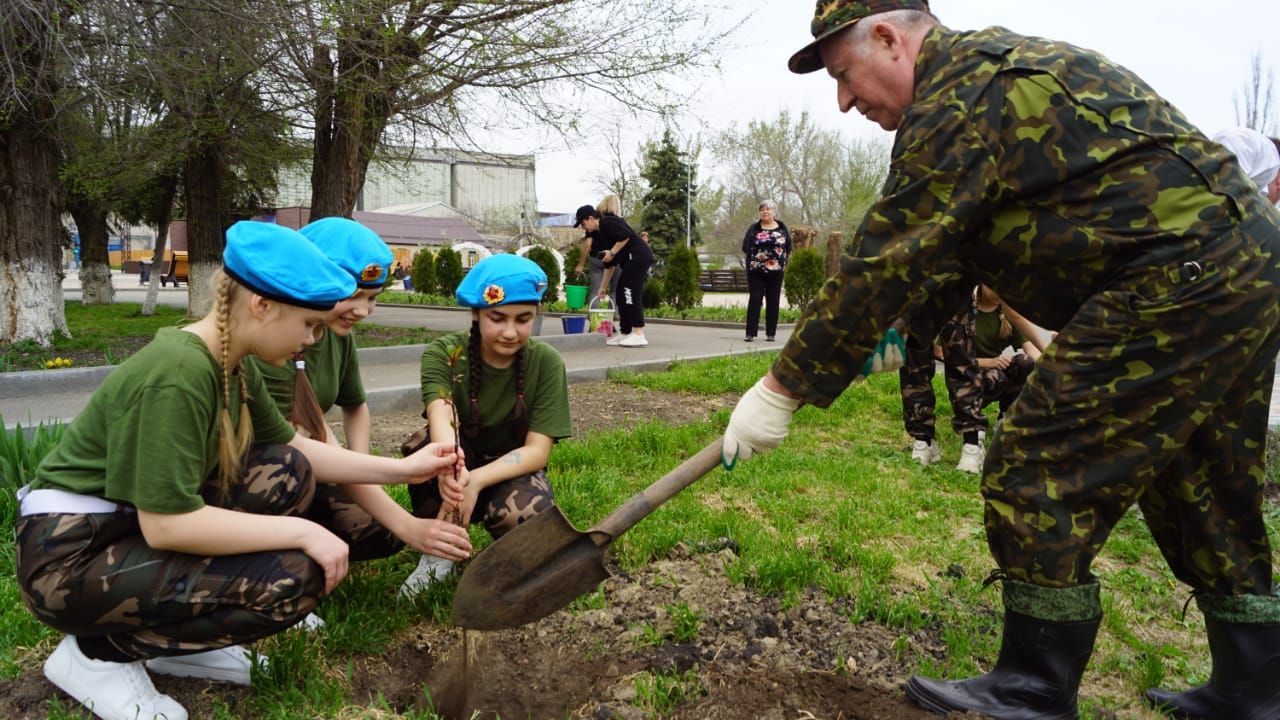 В Грачёвском округе посадили яблони в рамках акции Сад памяти