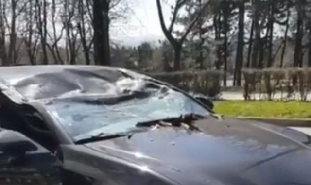 В Пятигорске на машину рухнуло дерево, пострадала девушка В Пятигорске на машину рухнуло дерево, пострадала девушка