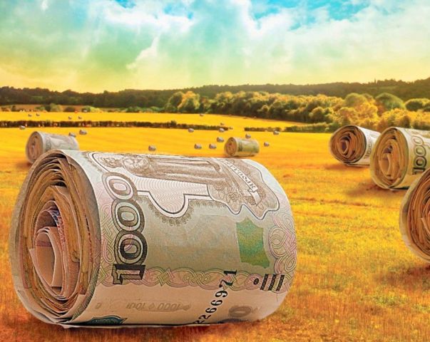 На Ставрополье за два года фермеры получили более миллиарда рублей грантов На Ставрополье за два года фермеры получили более миллиарда рублей грантов