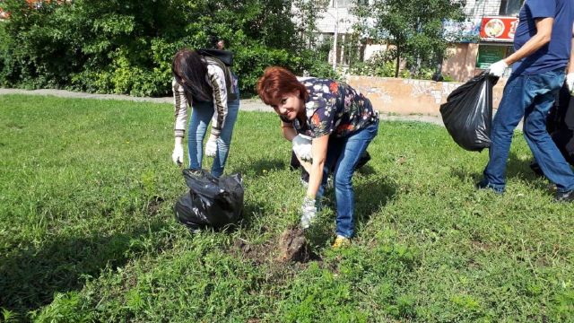 В Ставрополе горожане вышли на борьбу с амброзией В Ставрополе горожане вышли на борьбу с амброзией