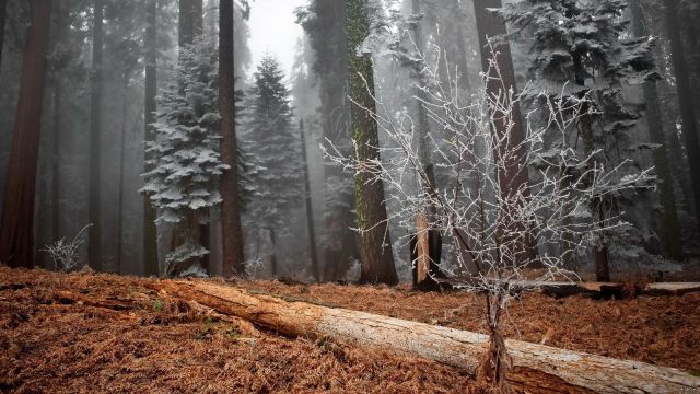 На Ставрополье 27 апреля ночью вновь ожидаются заморозки На Ставрополье 27 апреля ночью вновь ожидаются заморозки