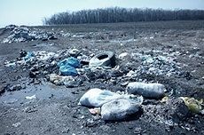 В крае выявлено 11 территорий, в которых содержание токсичных элементов превышает норму В крае выявлено 11 территорий, в которых содержание токсичных элементов превышает норму