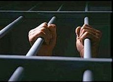 Двое жителей Ставрополья подозреваются в убийстве своих матерей Двое жителей Ставрополья подозреваются в убийстве своих матерей