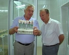 На Ставрополье выращивают картошку из пробирки На Ставрополье выращивают картошку из пробирки