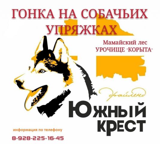 В Ставрополе пройдут гонки на собачьих упряжках «Южный Крест-2019» В Ставрополе пройдут гонки на собачьих упряжках «Южный Крест-2019»